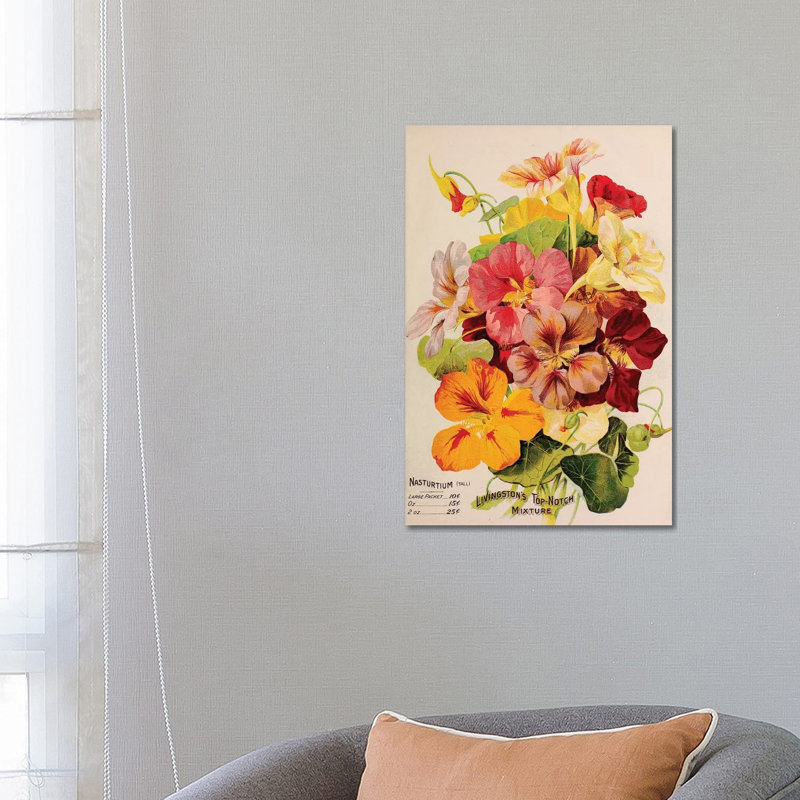 Livingston's Top-Notch Mixture, Nasturtium 1 Piece Wrapped Canvas Painting, 66.04 cm H x 45.72 cm W x 3.175 cm D