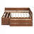 Daybed with Drawers and Shelves-529587630-529587631