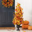 Composition d'assortiment mixte