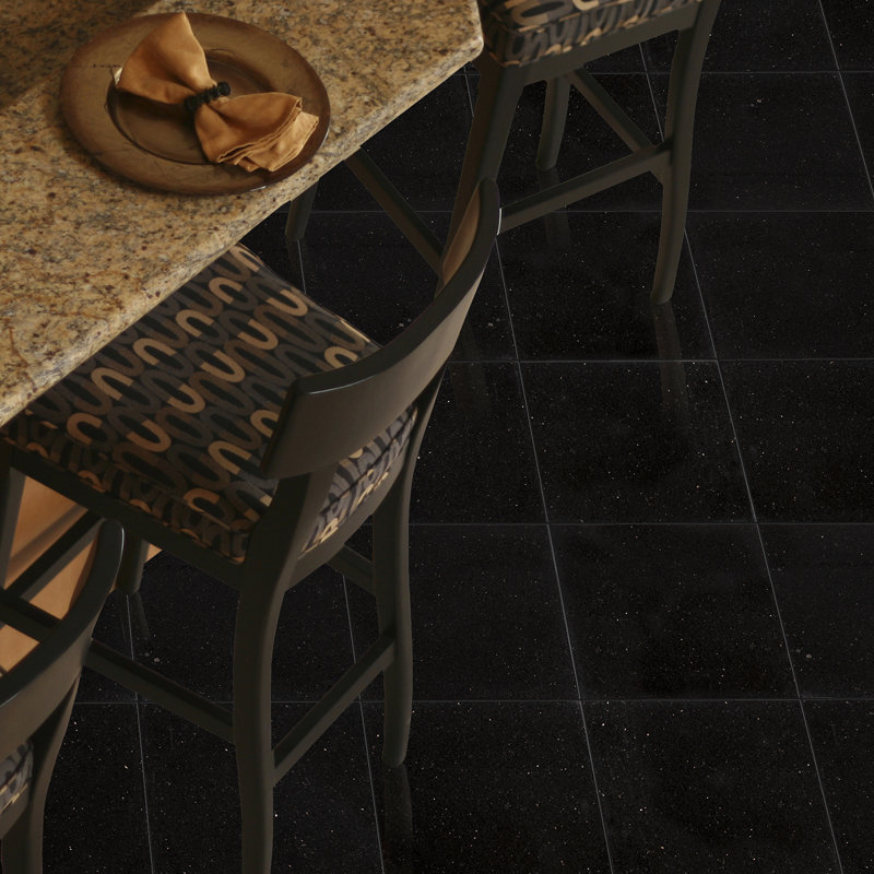 Black Galaxy 18 in. x 18 in. Polished Granite Floor and Wall Tile