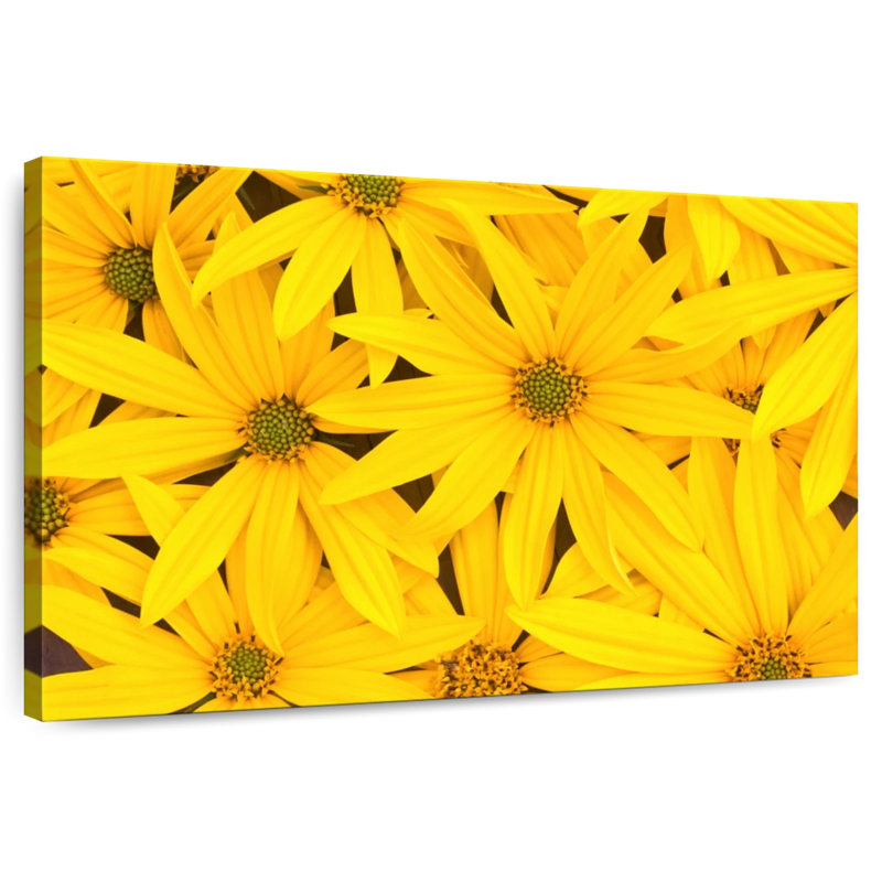 Fleurs jaune vif Harnek, H 8 po x l 12 po