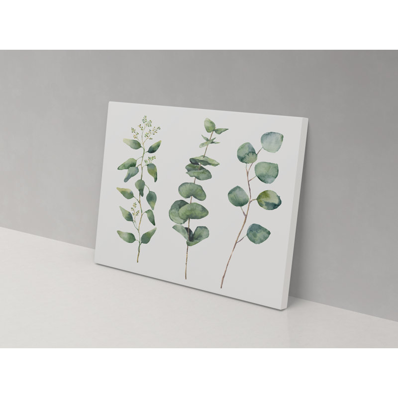 Branch Trio - Wrapped Canvas Print, 67cm H x 102cm W x 4cm D