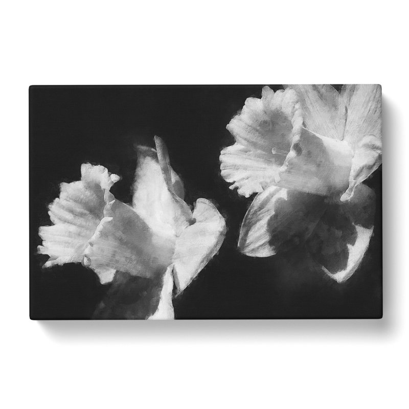 Pair Of Daffodils - Wrapped Canvas Painting, 35cm H x 50cm W x 3cm D