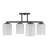 Herron 4-Light Ceiling Light in Matte Black-397403032