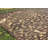 Cammack Hand Hooked Rug-4504565