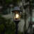 Eris Transparent Lamp Post (Full)