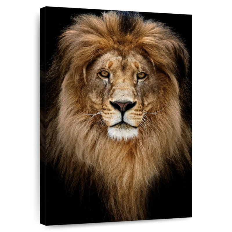 Brampt Kingly Lion Head, 24" H x 16" W