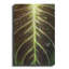 «Morning Dew» par Luxe-1035237129