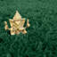 Durable Super Soft Shaggy Dark Green Rug-88305780