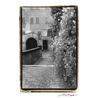 Passing Through Prague II by Laura DeNardo - Wrapped Canvas Print