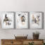 Ruckus I - Ensemble de 3 cadres photo-1878306642-1878306641
