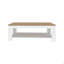 Table basse avec tablette inférieure