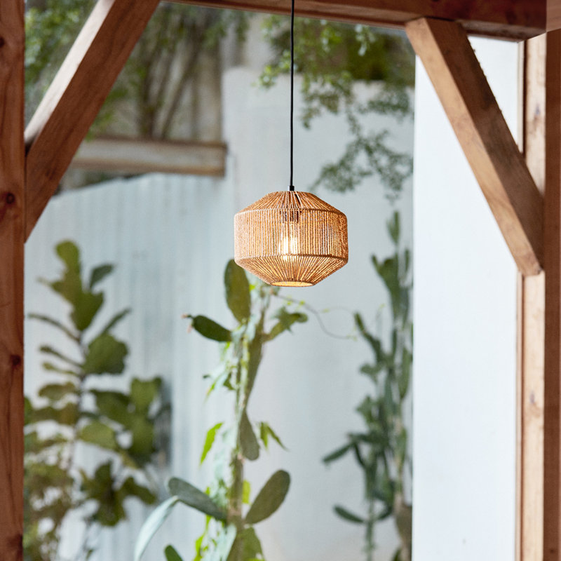 Luminaire suspendu 1 lumière Supranowitz