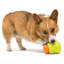 Hybrid Feeder/Toy