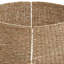 Seagrass Tree Collar