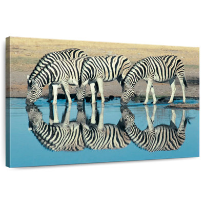 Zèbre de Brampt Etosha Burchell