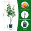 120cm Plant-1827081023