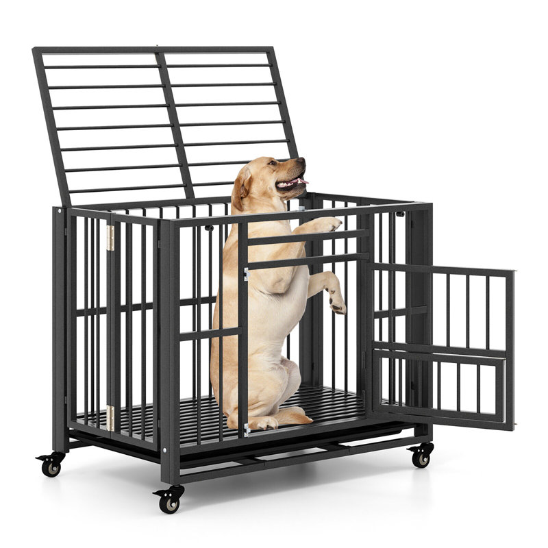 Heavy-Duty Black Metal Foldable Dog Cage with Wheels