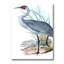 «Vintage Australian Birds V», impression sur toile-59761952-59761955
