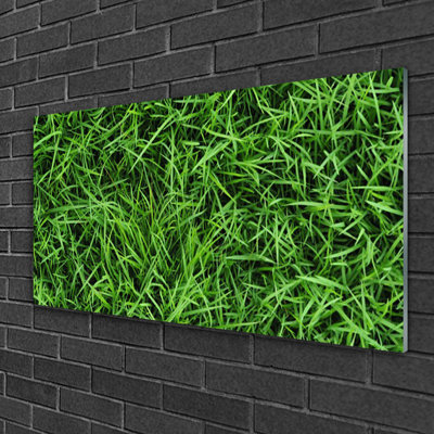 Floral Grass Lawn 1 Piece Wall Art on Glass