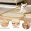 Jouet pour chat et planche à gratter
