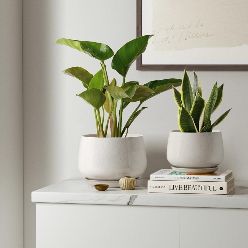 Ceramic Plant Pots 4.1+5.1+6.5 inch, Beige