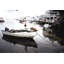 Parvez Taj - Wrapped Canvas Print-12309465