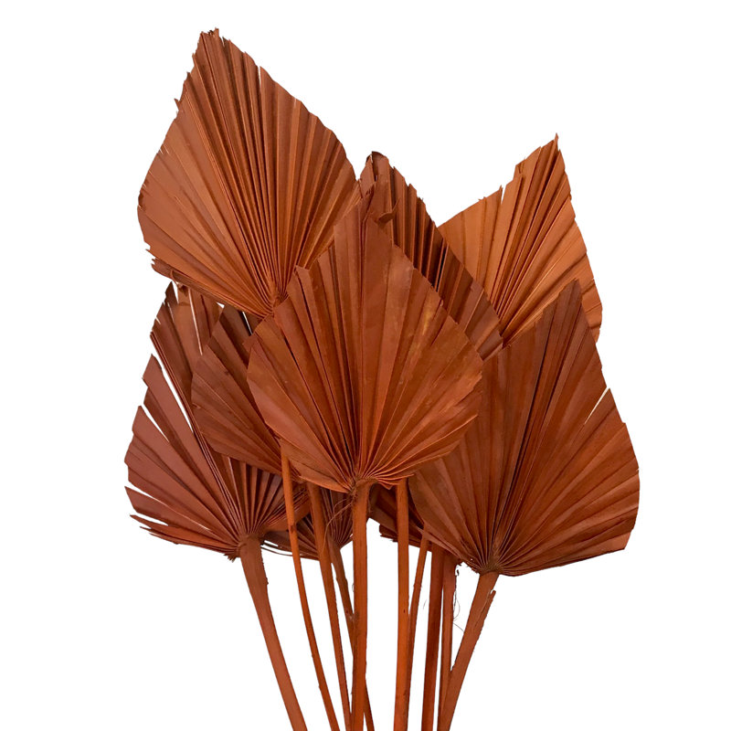 Fredela Arrangement, Salmon/Orange