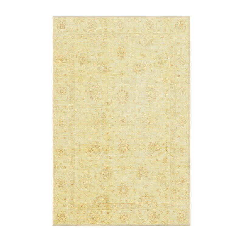 Oriental Indoor Rug, Rectangle 2' x 4'