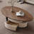 Light luxury oval storage coffee table