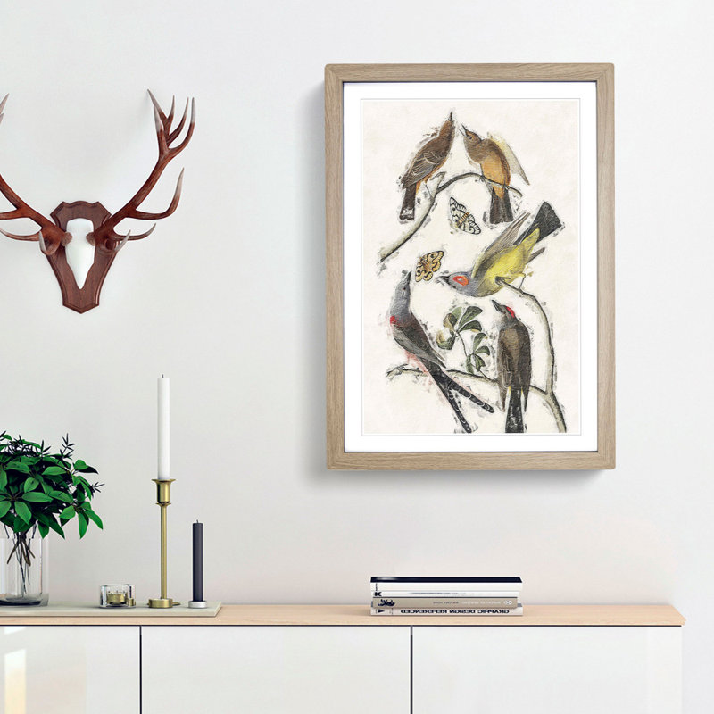 Flycatcher Birds by John Audubon - Picture Frame Painting Print, 36cm H x 27cm W x 2cm D, Oak Framed