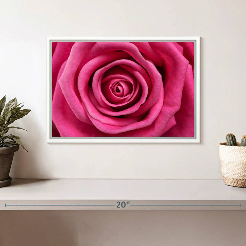 Rose vif, Cadre flottant blanc, 13 po x 9 po