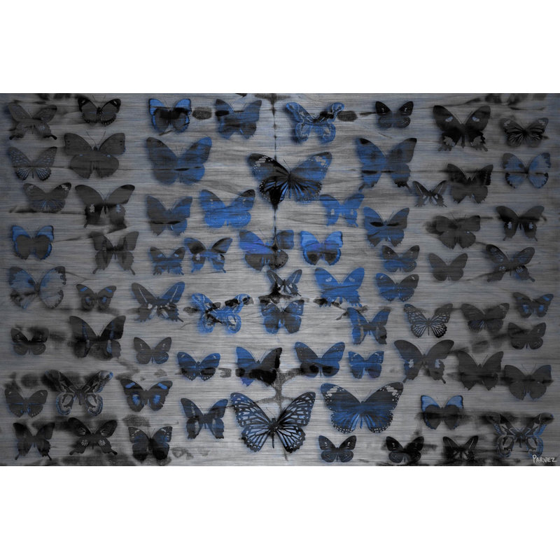 «Flutter Byes» par Parvez Taj - reproduction d'art non encadrée, H 8 po x l 12 po x P 1,5 po