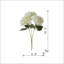 Tige d'hortensia Oakdale-1938693674