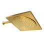 Brushed Brass