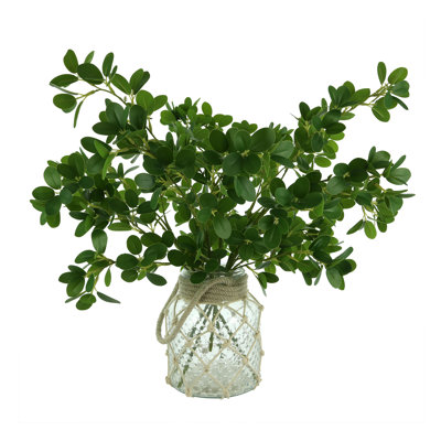23'' Faux Boxwood Plant in Glass Vase