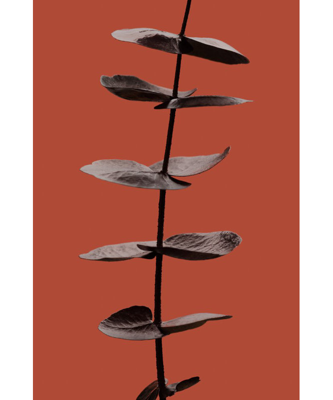 Wrapped Canvas Print, 121.92 cm H x 81.28 cm W