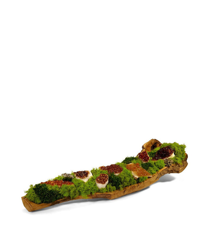 Moss Plant in Wood Planter