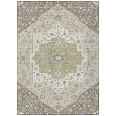 Machine Washable Indoor/Outdoor Chantille ACN2533 Traditional Rug