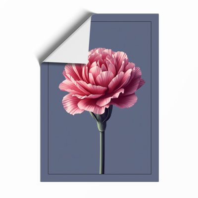 Pink Carnation Study Botanical - Framed Print