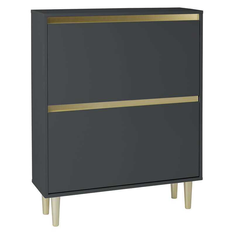 Iliana 2 Door Shoe Cabinet, Gold/Black