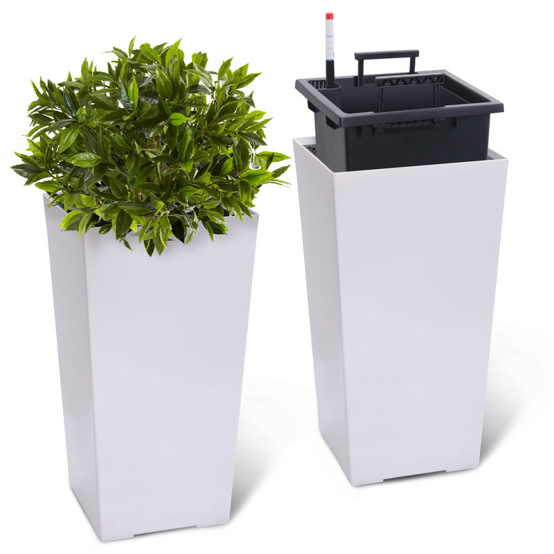 Plant Support, White