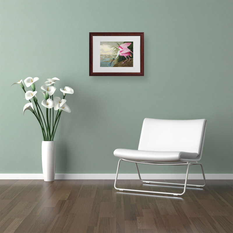 « rosee spoonbill » par john james audubon, reproduction d’art encadrée, H 16 po x l 20 po x P 0,5 po, Brun