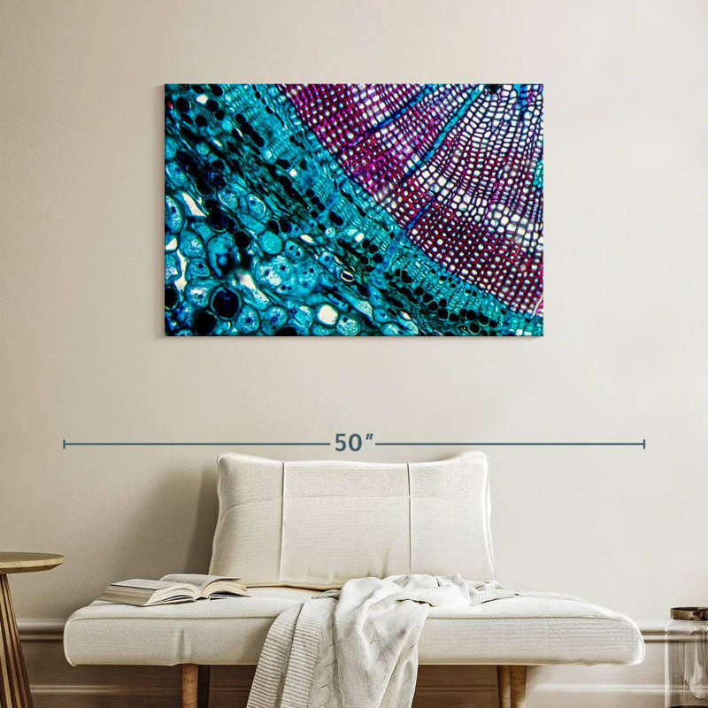 Keiri Pine Stem Under Microscope, 26" H x 39" W