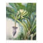 Banana Tree by Chen Xiaoping - Single Picture Frame Print