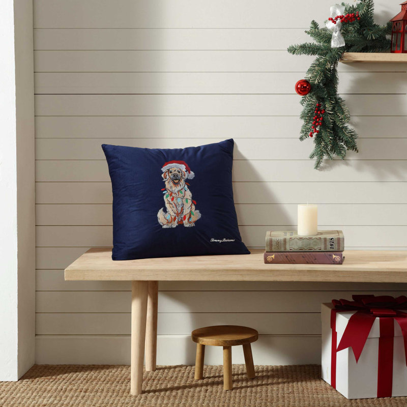 Pillow Cover & Insert, 20" H x 20" W, Blue/Beige/Red, Square