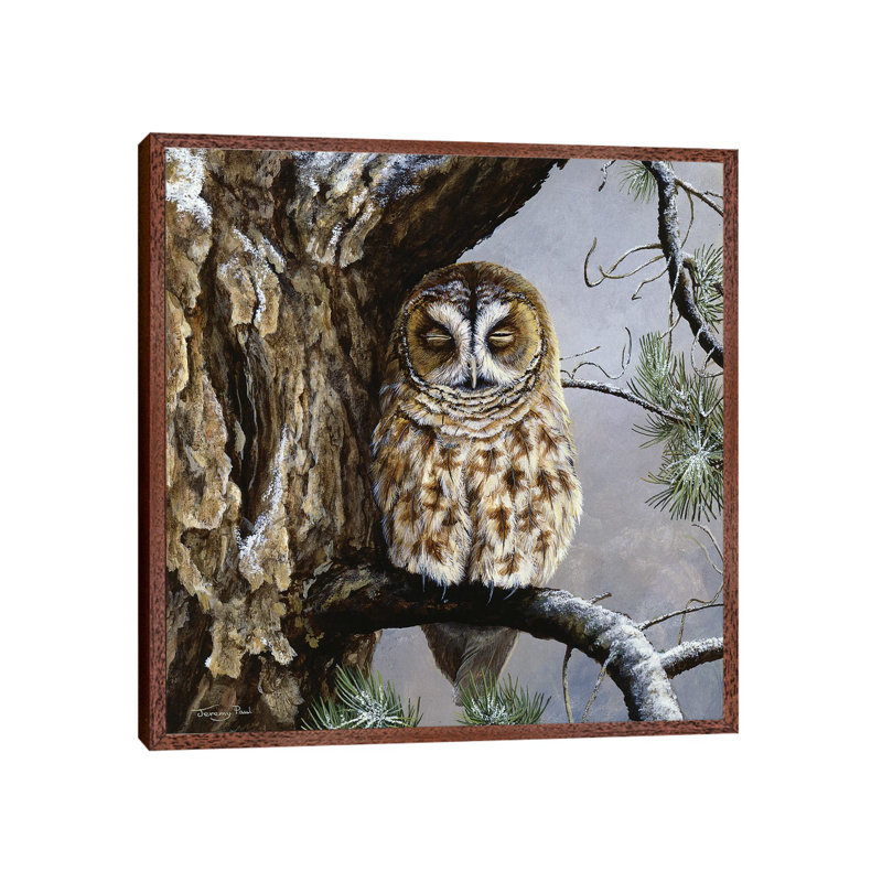 Half Asleep - Tawny Owl by Jeremy Paul - Painting on Canvas, Classic Brown Wood Framed, 66.04cm H x 66.04cm W x 3.81cm D