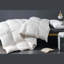 Insertion de couette en duvet d'oie à plumes en lin 650 pi-296127000-281551816