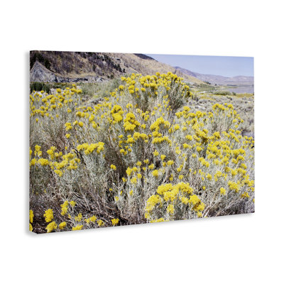 Yellow Flowers in Arid Meadow Canvas, design by Gemma Bardot