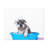 Cute Schnauzer Bath Canvas Wall Art-1210609286